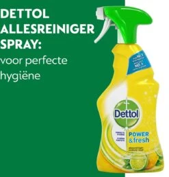 Dettol - Power & Fresh - Allesreinger Spray - Citrus - 6 X 500 Ml 17 Dettol - Power & Fresh - Allesreinger Spray - Citrus - 6 X 500 Ml -Schoonmaakproducten Winkel 1150x1200 3