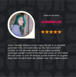 DONGOODS® Toiletblokjes Voor Inbouwreservoirs – WC-blokjes – Toiletblokken In Een Voordeelverpakking – 12 Stuks -Schoonmaakproducten Winkel 1197x1200 2