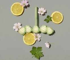 Marcel's Green Soap Toiletblok Geranium & Citroen - 55 Gram -Schoonmaakproducten Winkel 1200x1023