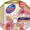 Glorix Aroma Lux Dahlia Flower & Dragonfruit - 9 Toiletblokken - Halfjaarbox - Voordeelverpakking -Schoonmaakproducten Winkel 1200x1111 1
