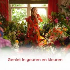 Robijn Klein & Krachtig Rosé Chique Vloeibaar Wasmiddel - 8 X 19 Wasbeurten - Voordeelverpakking -Schoonmaakproducten Winkel 1200x1200 625