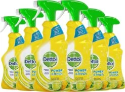 Dettol - Power & Fresh - Allesreinger Spray - Citrus - 6 X 500 Ml 22 Dettol - Power & Fresh - Allesreinger Spray - Citrus - 6 X 500 Ml -Schoonmaakproducten Winkel 1200x885